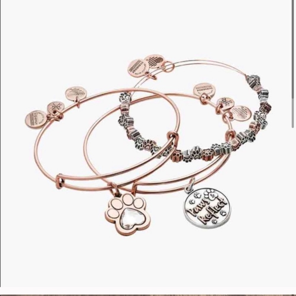 ❌SOLD❌🚨Brand NEW🚨‼️ Alex&Ani Paws&Reflect - Picture 1 of 6